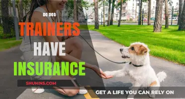 Do Dog Trainers Have Insurance? Understanding Liability Coverage for Professionals