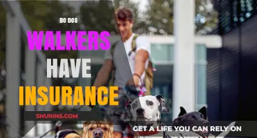 Do Dog Walkers Have Insurance? Protecting Your Pet and Business