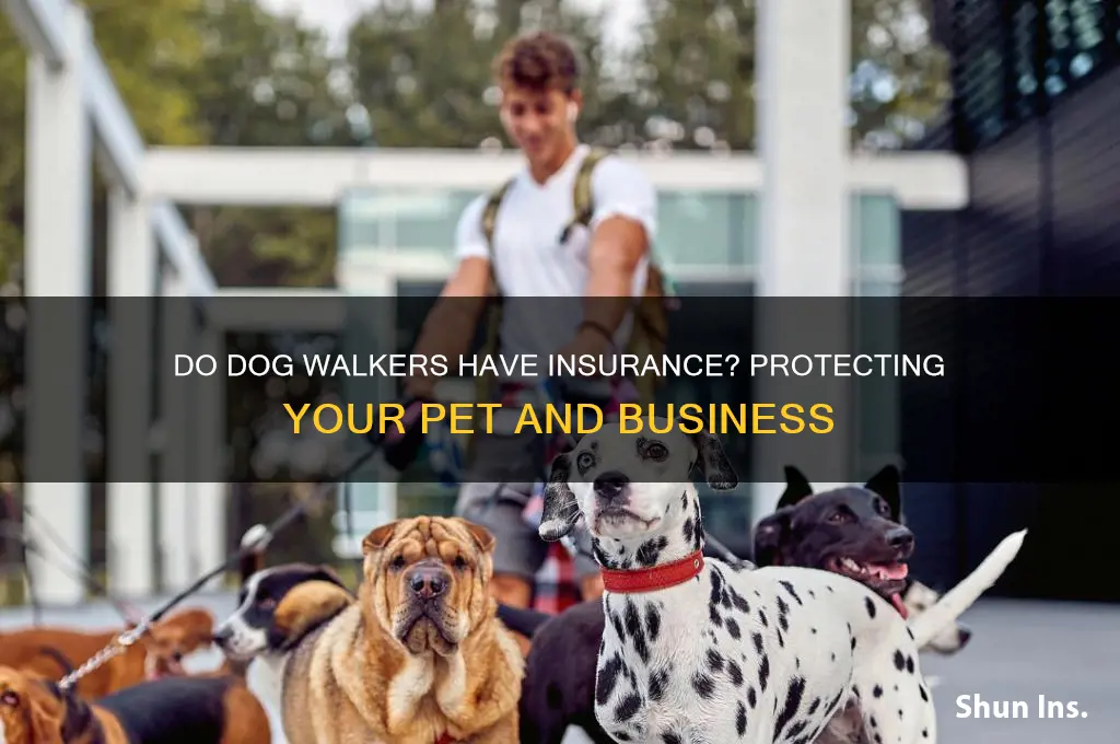 do dog walkers have insurance