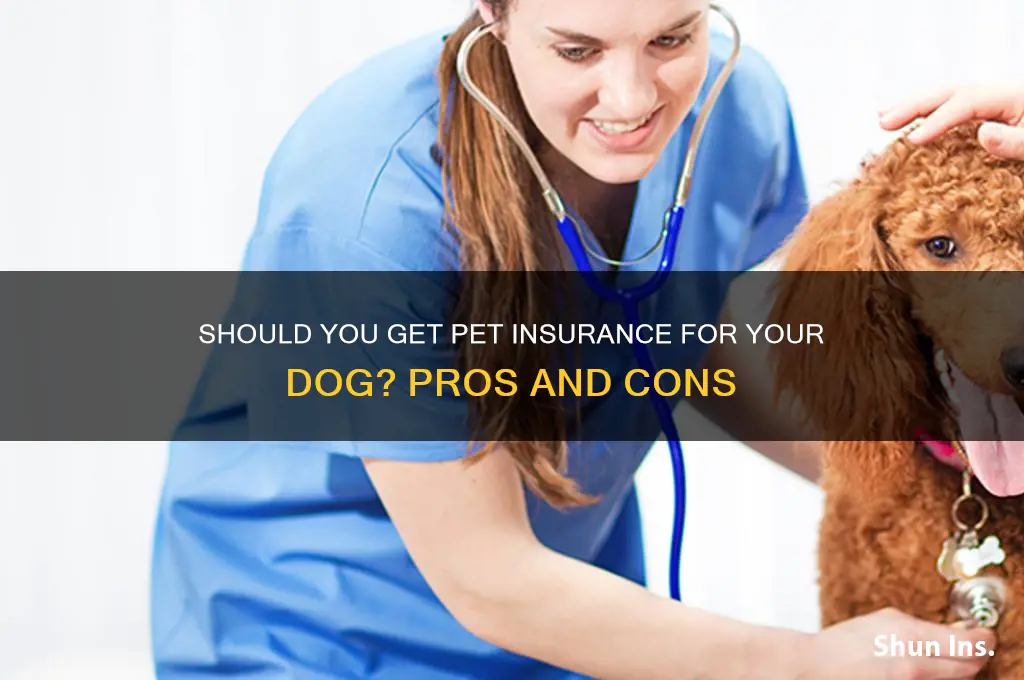 do dogs have to have insurance