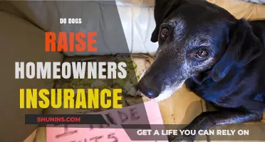 Home Insurance: Do Dogs Increase Premiums?
