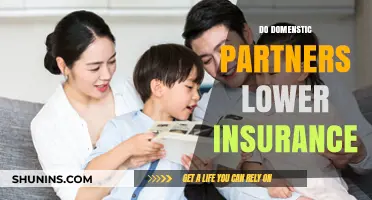 Do Domestic Partners Lower Insurance Costs? Exploring the Financial Impact