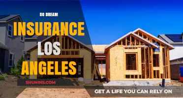 Exploring Dream Insurance Options in Los Angeles: What You Need to Know