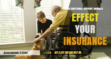 Emotional Support Animals: Impact on Insurance Policies Explained