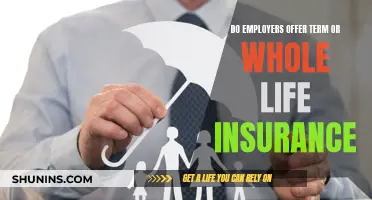 Employers' Life Insurance: Term or Whole?