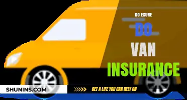 Does Esure Offer Van Insurance? A Comprehensive Guide for UK Drivers