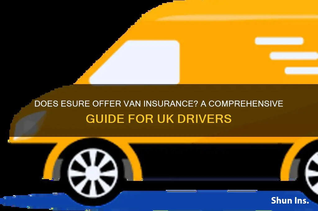do esure do van insurance