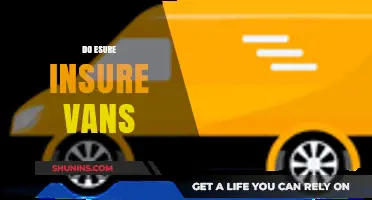 Does Esure Insure Vans? A Comprehensive Guide to Van Insurance Options