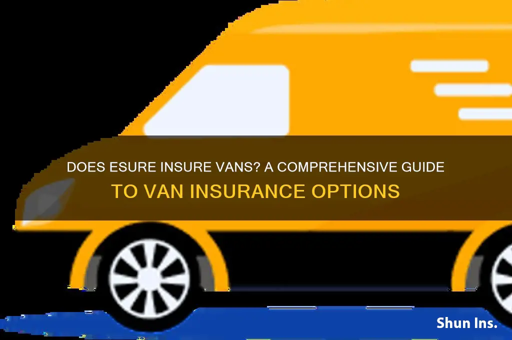 do esure insure vans
