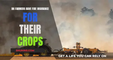 **A Safety Net for Farmers: Exploring Crop Fire Insurance** 