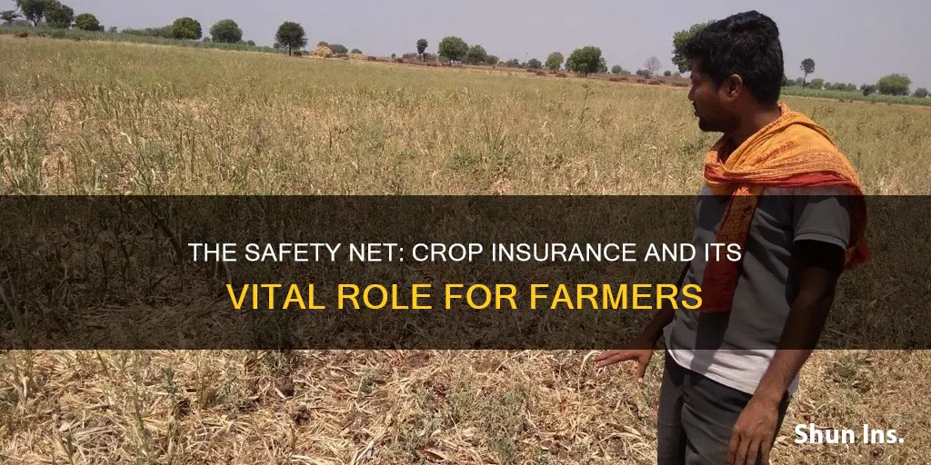 do farmers have insurance for crop failure