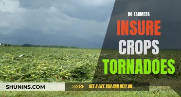 Protecting the Harvest: Navigating Crop Insurance and Tornado Risks