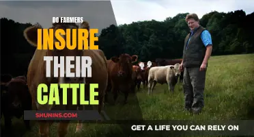 Cattle Conundrum: Unraveling Insurance Options for Farmers