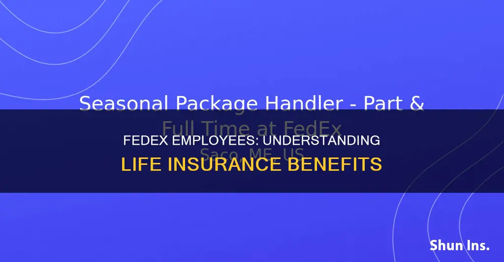 do fedex employees get life insurance