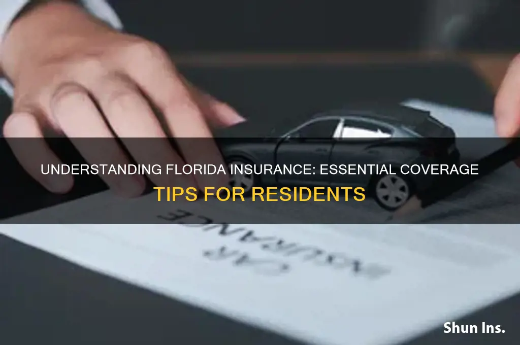 do fl insurance