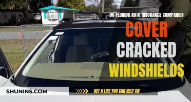 Florida Auto Insurance: Cracked Windshield Conundrum