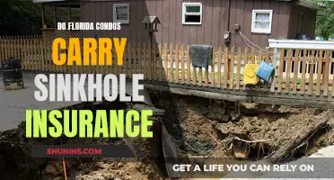 Florida Condos: Sinkhole Insurance Essential?