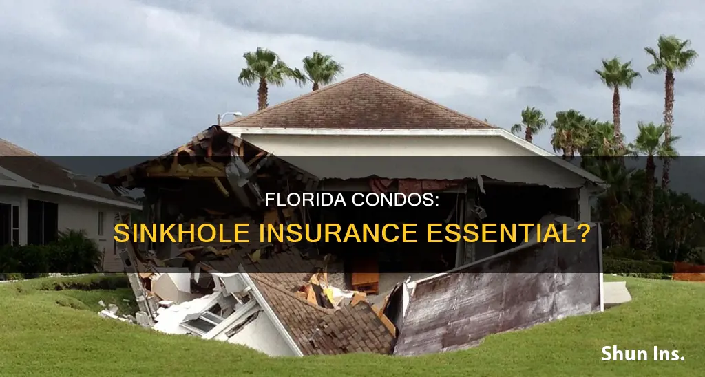 do florida condos carry sinkhole insurance