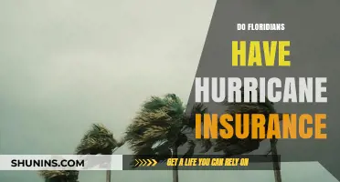 Do Floridians Have Hurricane Insurance? Understanding Coverage in the Sunshine State