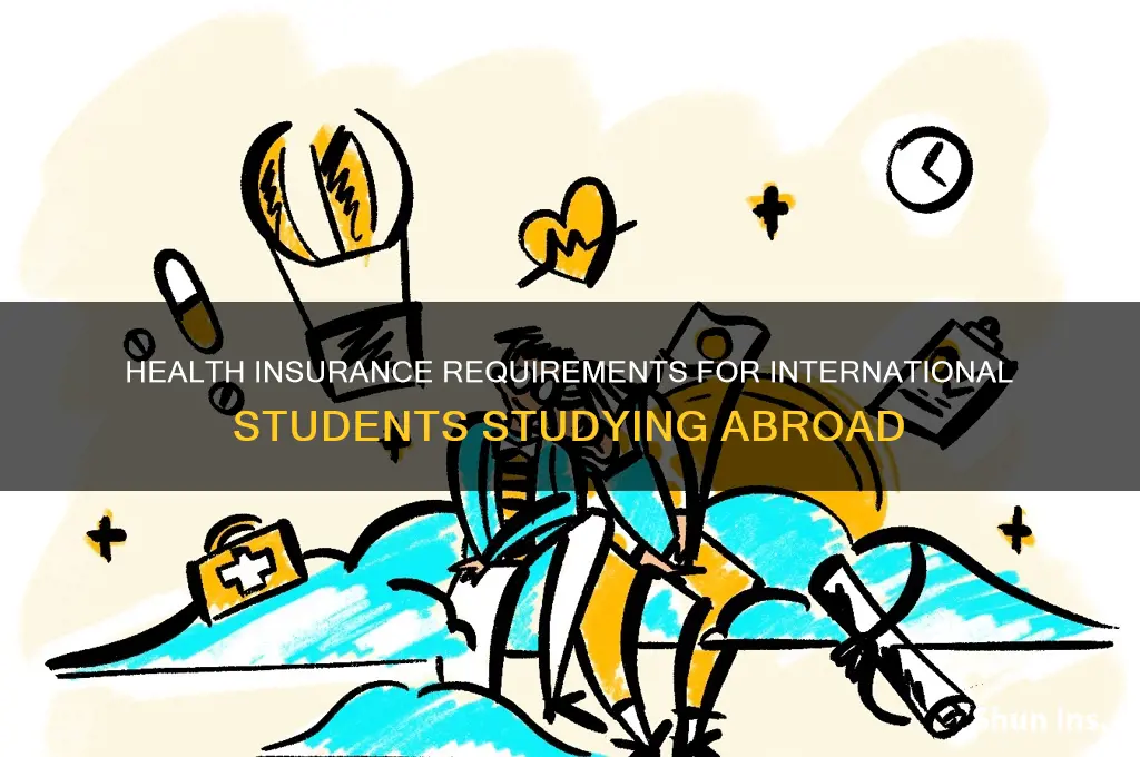 do foreign students have to have health insurance