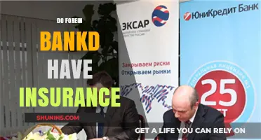 Do Foreign Banks Offer Insurance? Understanding Global Financial Protection