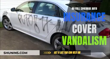 Full Coverage Auto Insurance: Understanding Vandalism Protection