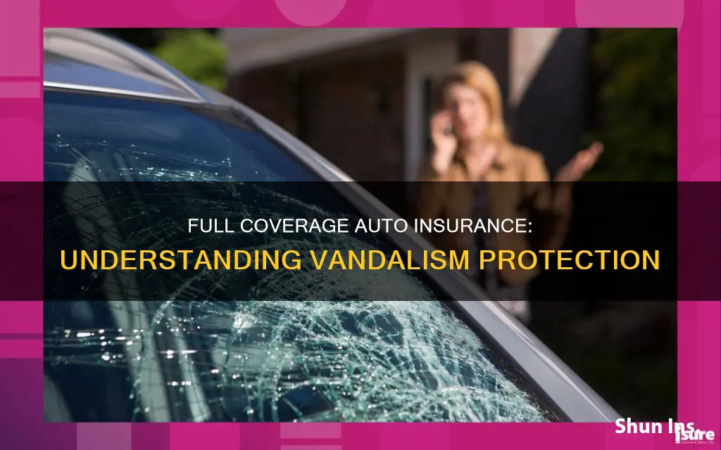 do full coverage auto insurance cover vandalism