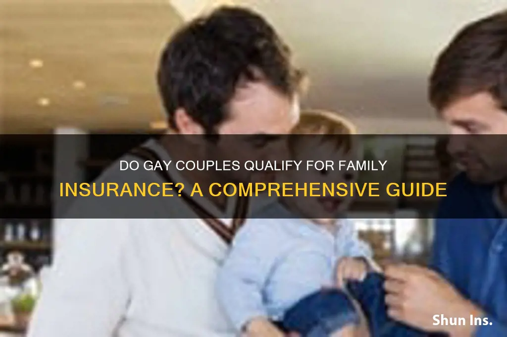 do gay couples qualify for family insurance