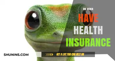 Does GEICO Offer Health Insurance? Exploring Coverage Options and Alternatives