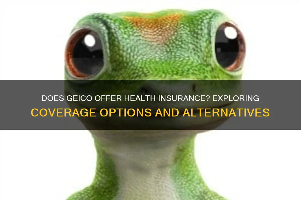 do geico have health insurance