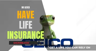 Life Insurance: Geico's Offerings and Your Options