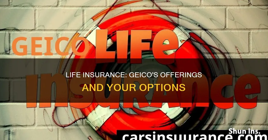 do geico have life insurance