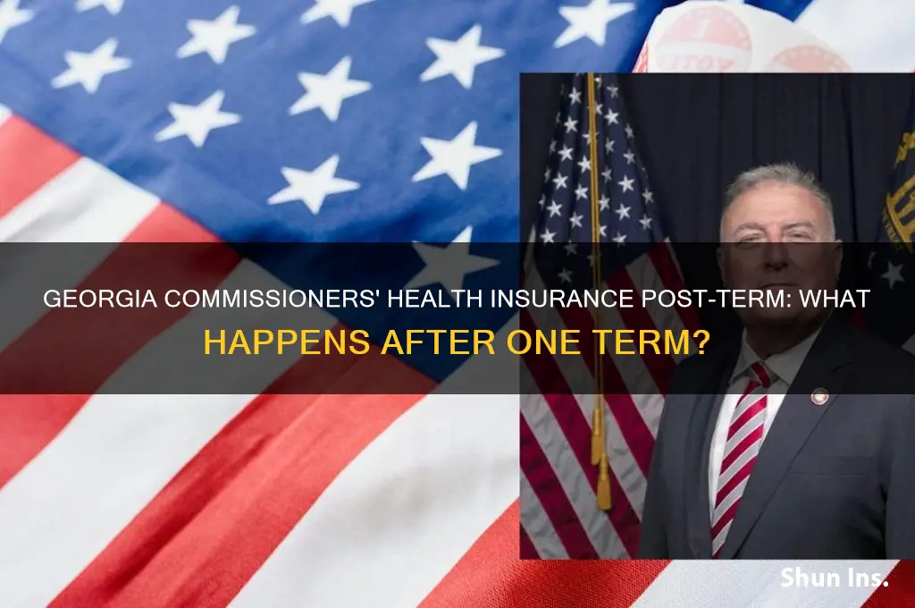 do georgia commissioners retain health insurance after one term