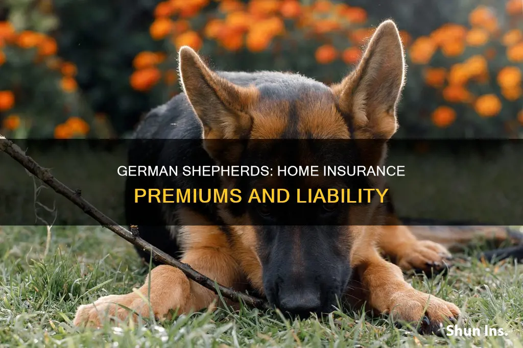 do german shepherds increase homeowners insurance