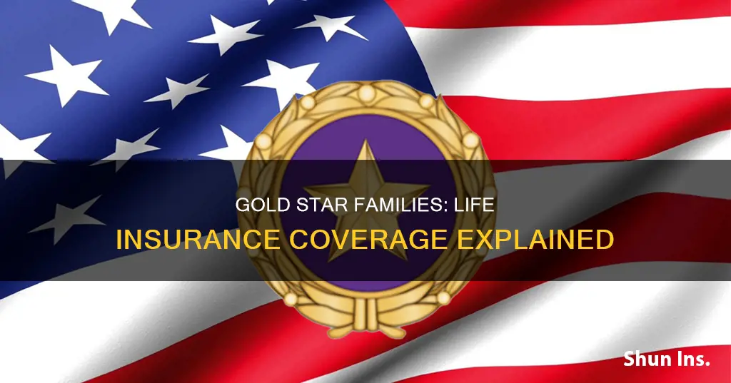 do gold star famlies have life insurance