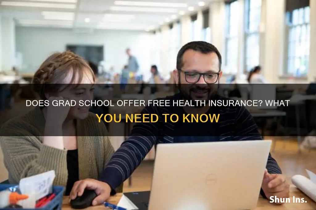 do graduate schools give free health insurance