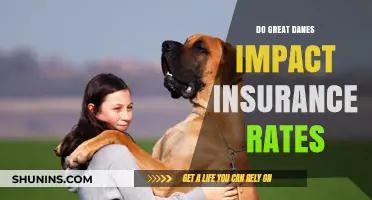 Great Dane Owners: Insurance Rates and Your Dog
