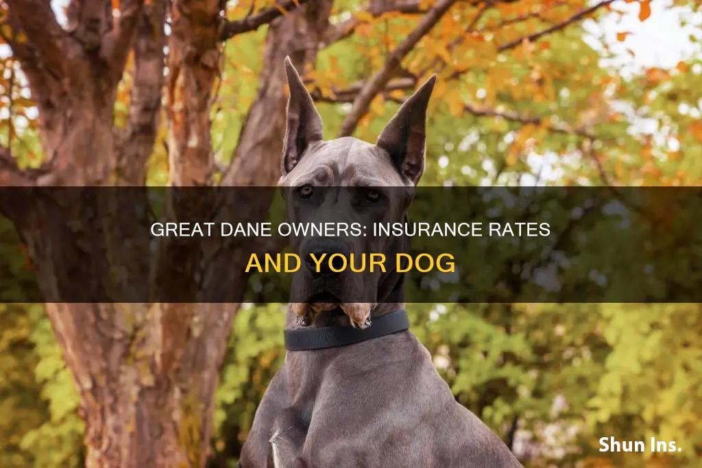 do great danes impact insurance rates