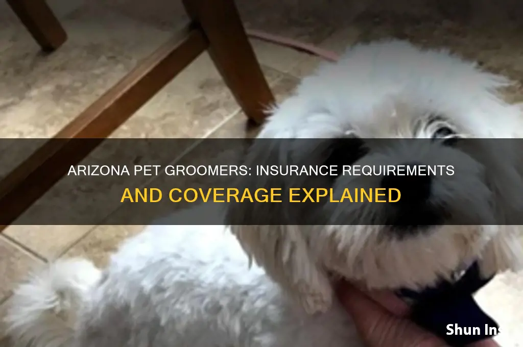 do groomers have insurance in az