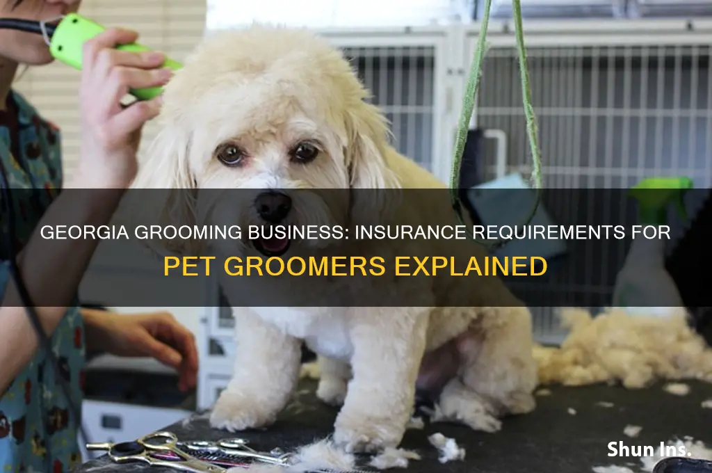 do groomers have to have insurance in georgia