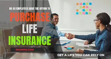 Life Insurance Options for GS Employees Explained