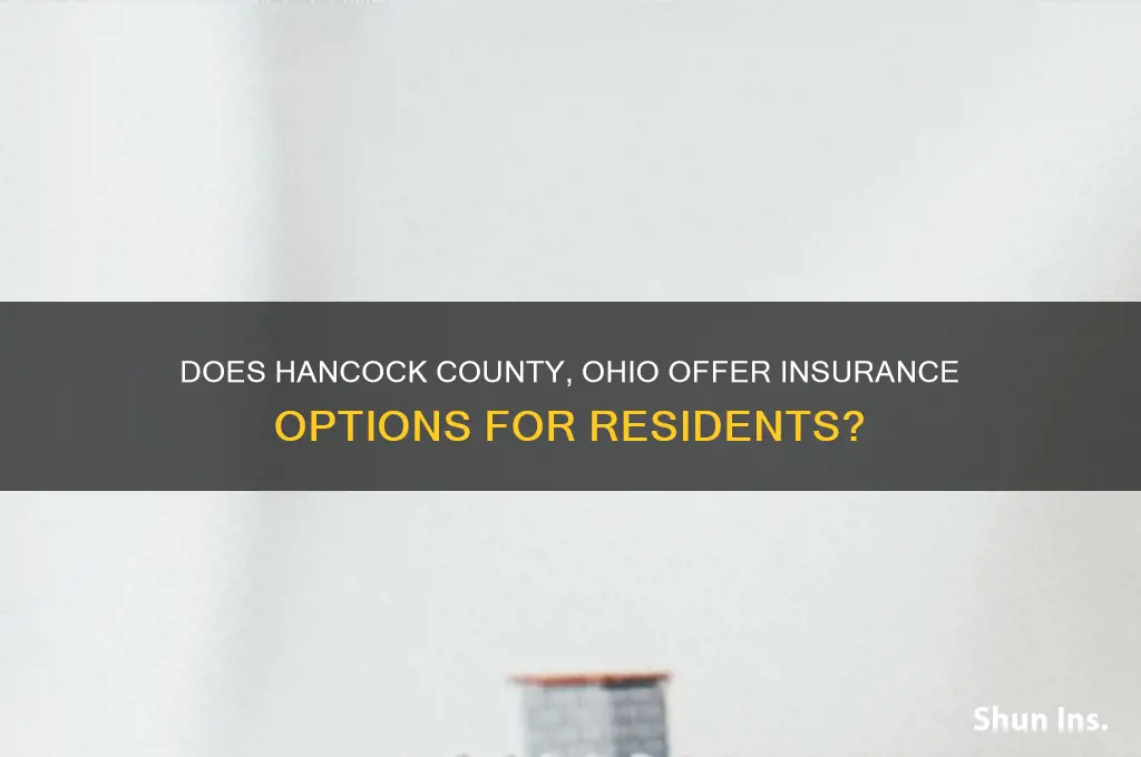 do hancock county ohio have insurance