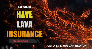 Do Hawaiians Have Lava Insurance? Exploring Volcanic Coverage Options