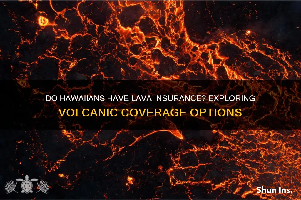 do hawaiians have lava insurance