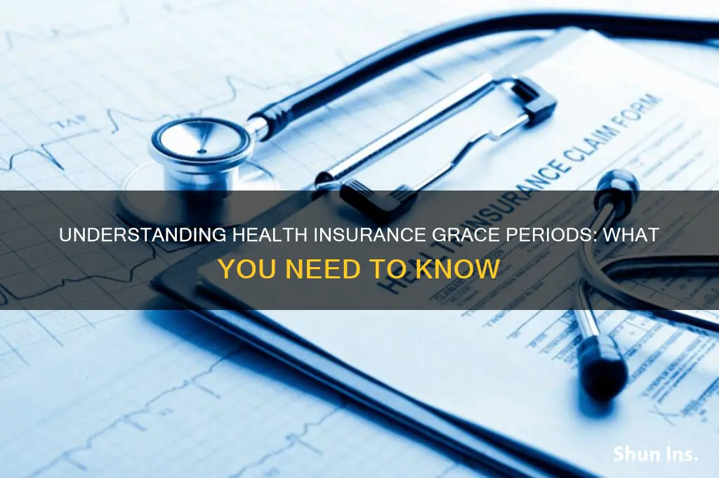 do health insurance have grace period