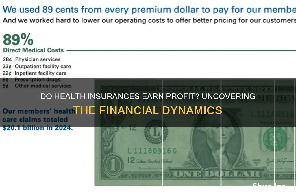 do health insurances earn profit