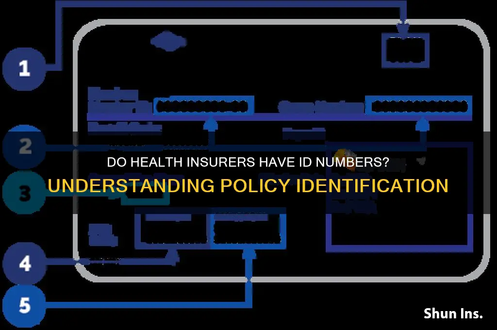 do health insurers have id numbers