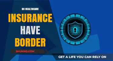 Healthcare Insurance Borders: Limitations, Coverage, and International Travel Implications