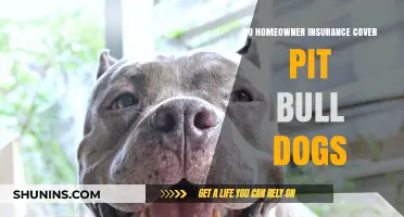 Home Insurance: Pit Bulls and Liability Coverage