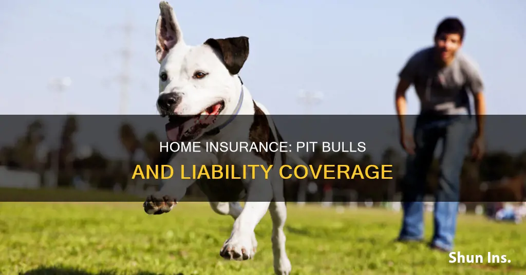 do homeowner insurance cover pit bull dogs
